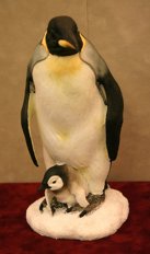 Penquin and Chick