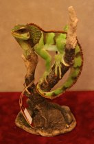 Lizard Green