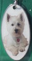 West Highland Terrier [2]