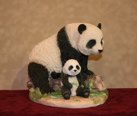 Panda and Cub NC5116