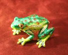 Frog [Closed]