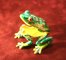 Frog [Open]