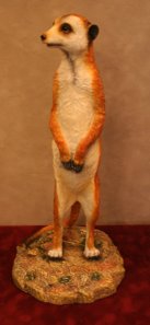 Meerkat