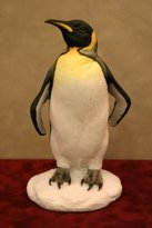 Penquin