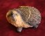 Hedgehog Sml