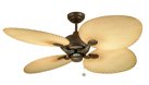 palm_fan