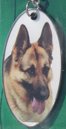 German Shepherd [2]