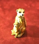 Meerkat [Closed]